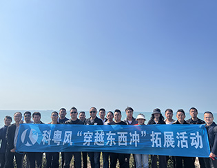 团队展示